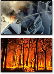 Fire investigation & Grow-Op pictures